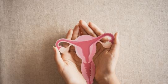 Hände halten stilisierte Gebärmuttergrafik als Symbol für Frauengesundheit.